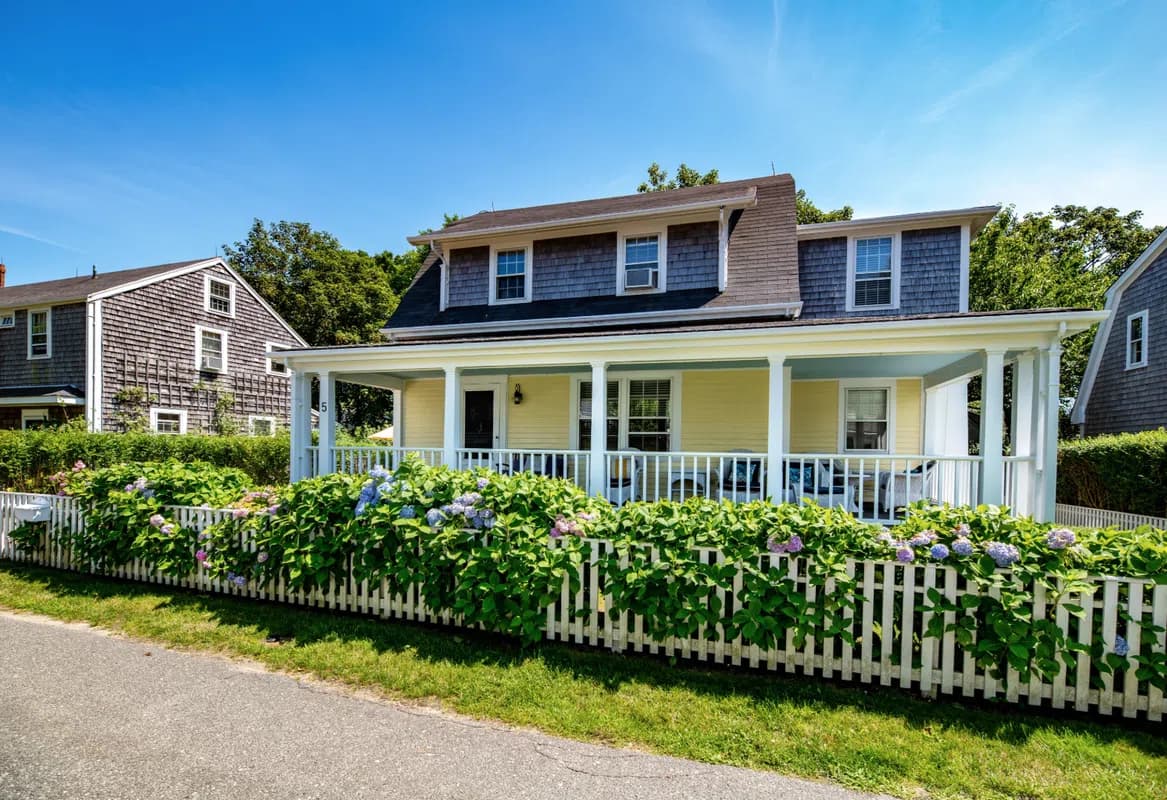 Yard, Nature, Outdoors