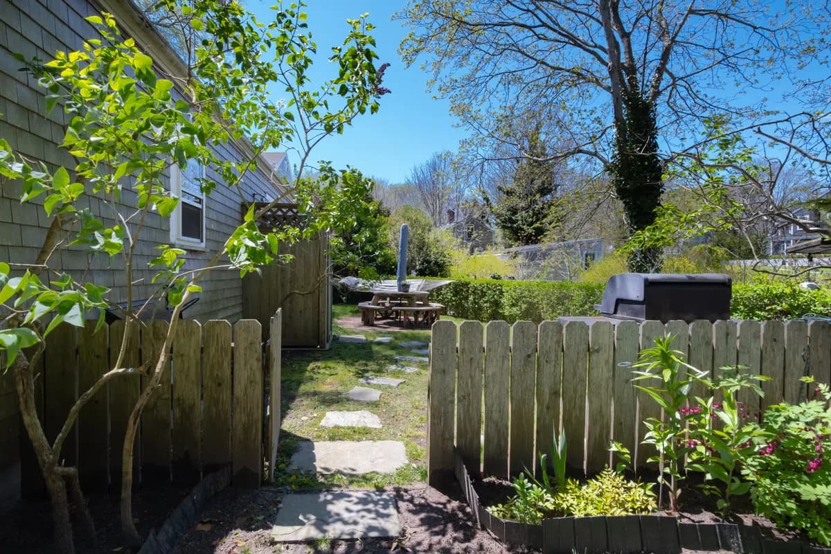 Yard, Nature, Outdoors