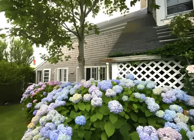 rental property in 2 Magnolia Avenue