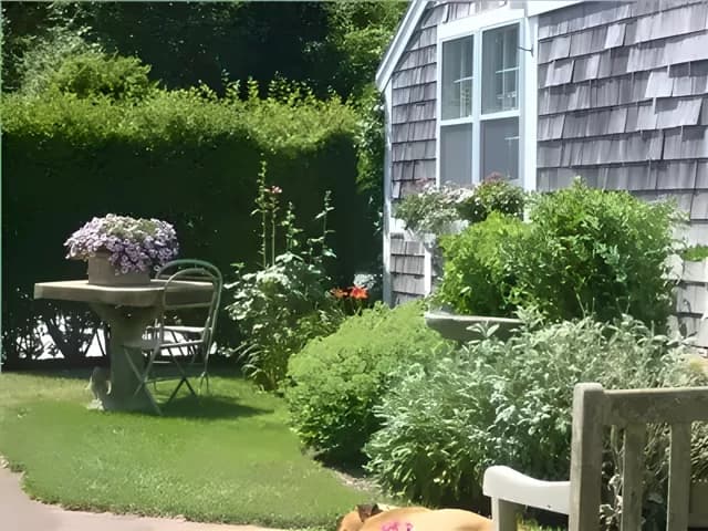 rental property in 29 Bank Street