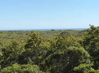 rental property in 49 Tom Nevers Road