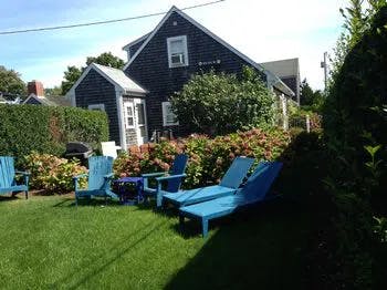 Backyard, Nature, Outdoors, Yard